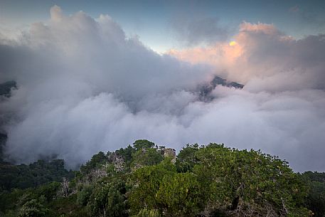 The Landslide Colella, near Roccaforte Del Greco is the largest in Europe, Calabria, Italy, Europe, Aspromonte