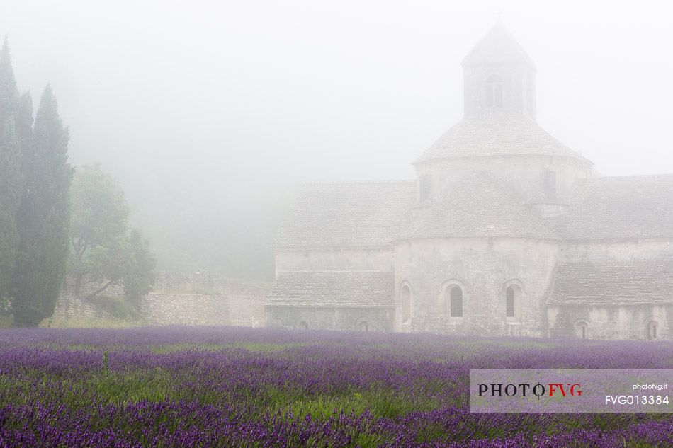 The ancient abbey of Snanque, located a few kilometers from the picturesque village of Gordes, surrounded by the morning mist