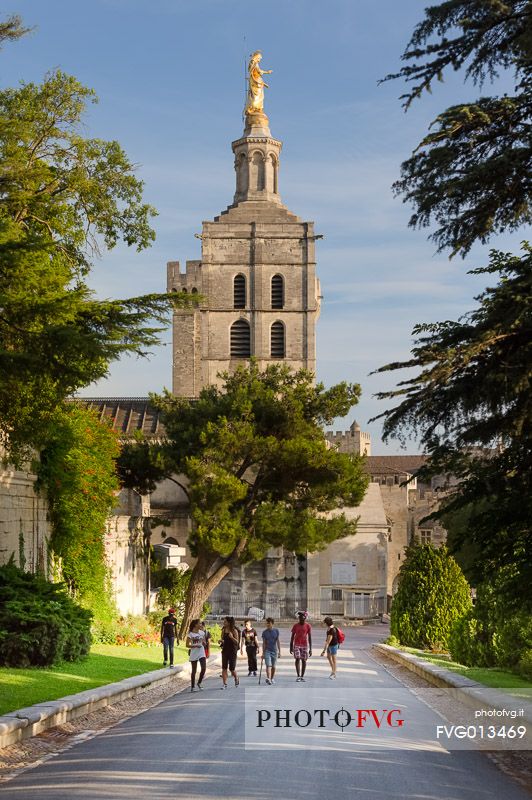 The park of the Cathedral of Avignon and sullies down the bell tower of the cathedral with the statue of the Virgin Mary on top