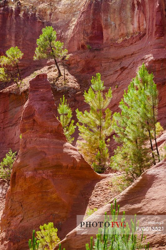 The ochre quarries of Roussillon