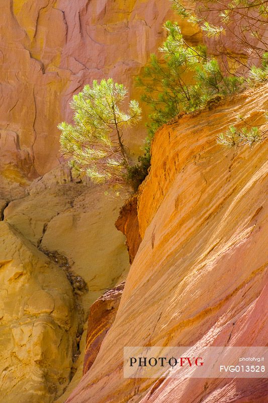 The ochre quarries of Roussillon