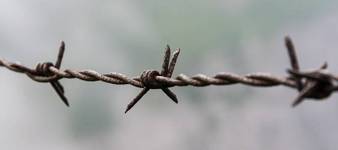 Barbed wire near the trenches on Mount Grappa