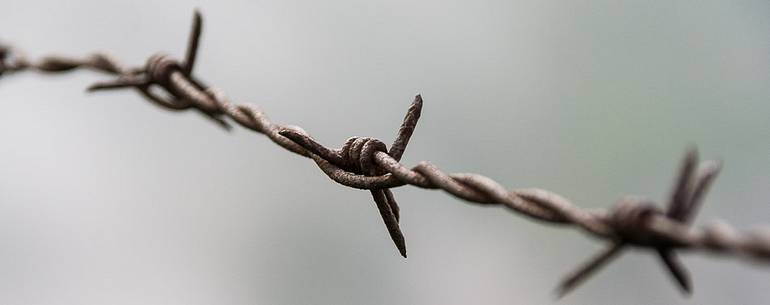 Barbed wire near the trenches on Mount Grappa