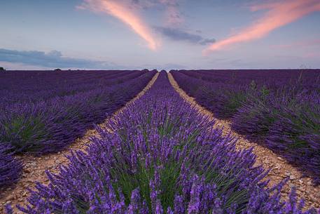 Sunset on the Plateau of Valensole