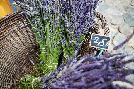 Fresh lavender flowers in wooden box