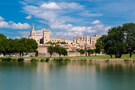 The historic city of Avignon on the Rhone River