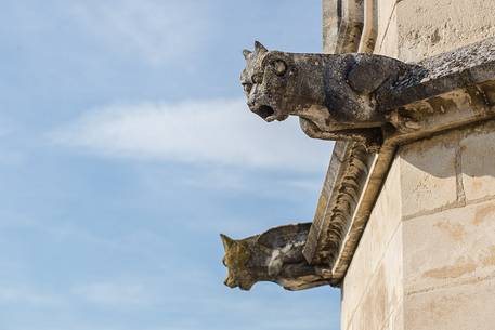 The gargoyles on the Papal Palace in Avignon