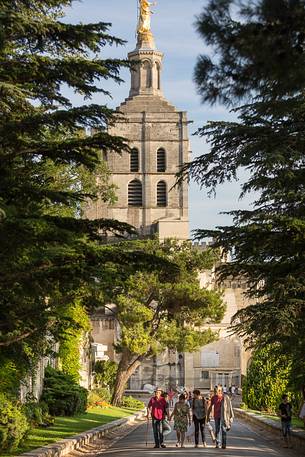 The park of the Cathedral of Avignon and sullies down the bell tower of the cathedral with the statue of the Virgin Mary on top