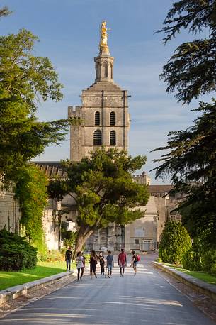 The park of the Cathedral of Avignon and sullies down the bell tower of the cathedral with the statue of the Virgin Mary on top The park of the Cathedral of Avignon and sullies down the bell tower of the cathedral with the statue of the Virgin Mary on top