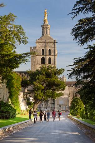 The park of the Cathedral of Avignon and sullies down the bell tower of the cathedral with the statue of the Virgin Mary on top