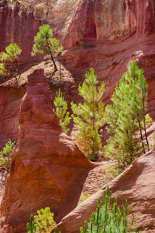 The ochre quarries of Roussillon