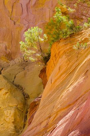 The ochre quarries of Roussillon