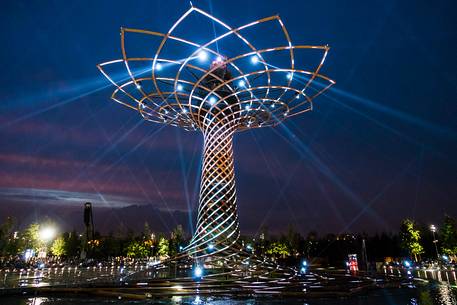 Tree of life show, Milan Universal Exposition 2015, Expo Milano 2015, architect Marco Balich Tree of life show, Milan Universal Exposition 2015, Expo Milano 2015, architect Marco Balich