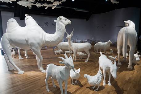 Milan Universal Exposition 2015, Expo Milano 2015, installation in Zero pavilion, Michele De Lucchi architect Milan Universal Exposition 2015, Expo Milano 2015, installation in Zero pavilion, Michele De Lucchi architect