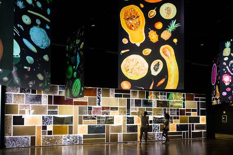 Milan Universal Exposition 2015, Expo Milano 2015, installation in Zero pavilion, Michele De Lucchi architect Milan Universal Exposition 2015, Expo Milano 2015, installation in Zero pavilion, Michele De Lucchi architect