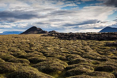 Leirhnjukul lava fields covered by moss in Krafla Caldera