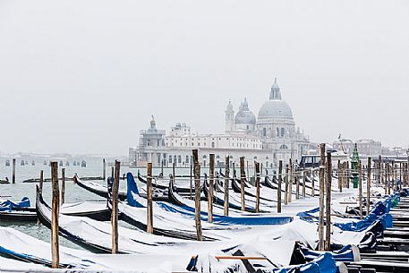 Winter snowfall in the city of Venice, gondolas covered by snow and in the background the church of Santa Maria della Salute, Venice, Veneto, Italy, Europe