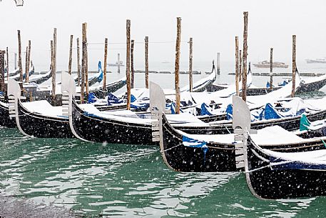 Winter snowfall in the city of Venice, gondolas covered by snow in the Sain Mark basin, Venice, Veneto, Italy, Europe