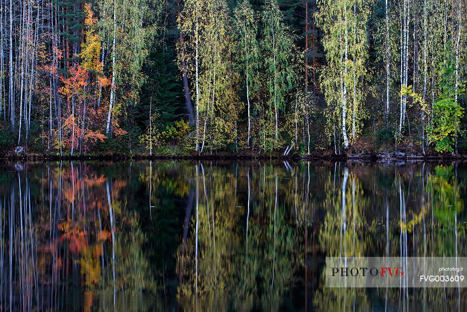 Autumnal reflection, Finland.
