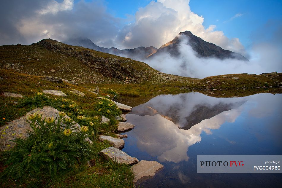 Sunset, Passo Gavia.