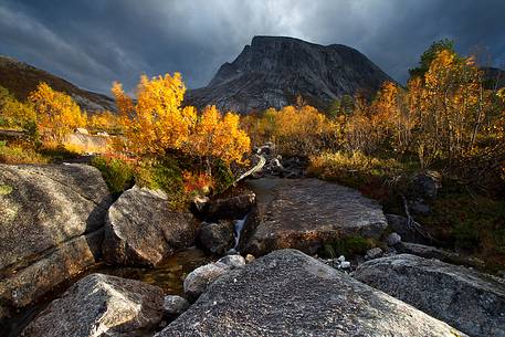 Rocky mountains and autumn colors in Nordland region, northern Norway.