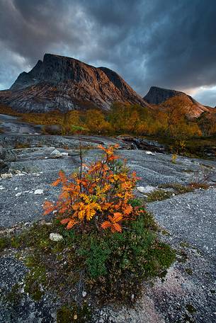 Rocky mountains and autumn colors in Nordland region, northern Norway.