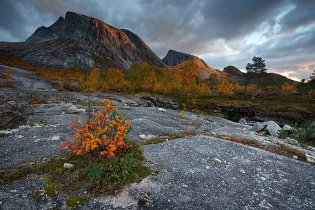 Rocky mountains and autumn colors in Nordland region, northern Norway.