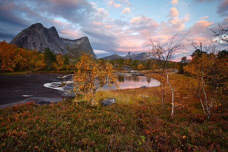 Rocky mountains and autumn colors in Nordland region, northern Norway.