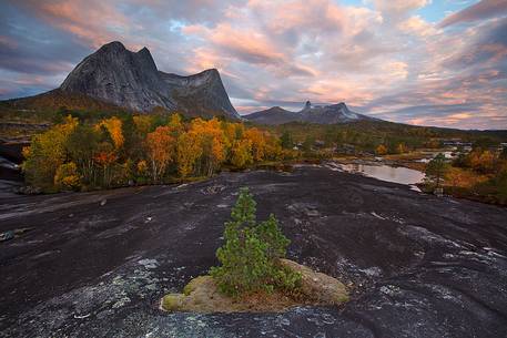 Rocky mountains and autumn colors in Nordland region, northern Norway.