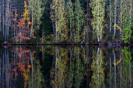 Autumnal reflection, Finland.
