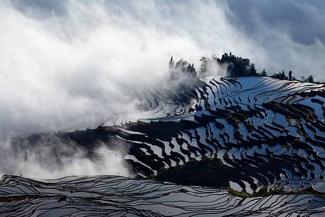 Yuanyang rice terraces, Yunnan, China.