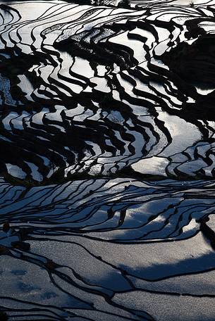 Yuanyang rice terraces, Yunnan, China.