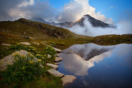 Sunset, Passo Gavia.