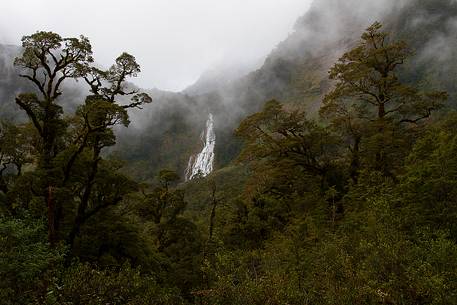 An hidden waterfall in the mysterious  virgin forests of Doubtful Sound, New Zealand.