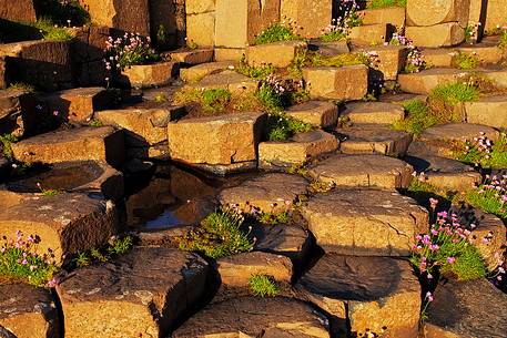 A detail of the particular rock formations of the Giant's Causeway, in Northern Ireland
