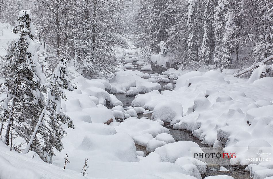 winter river and forest 