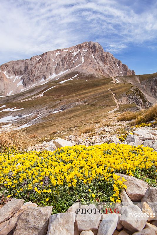 Sella di monte Aquila, (Appennine), 2494m, Gran Sasso National Park, summer 