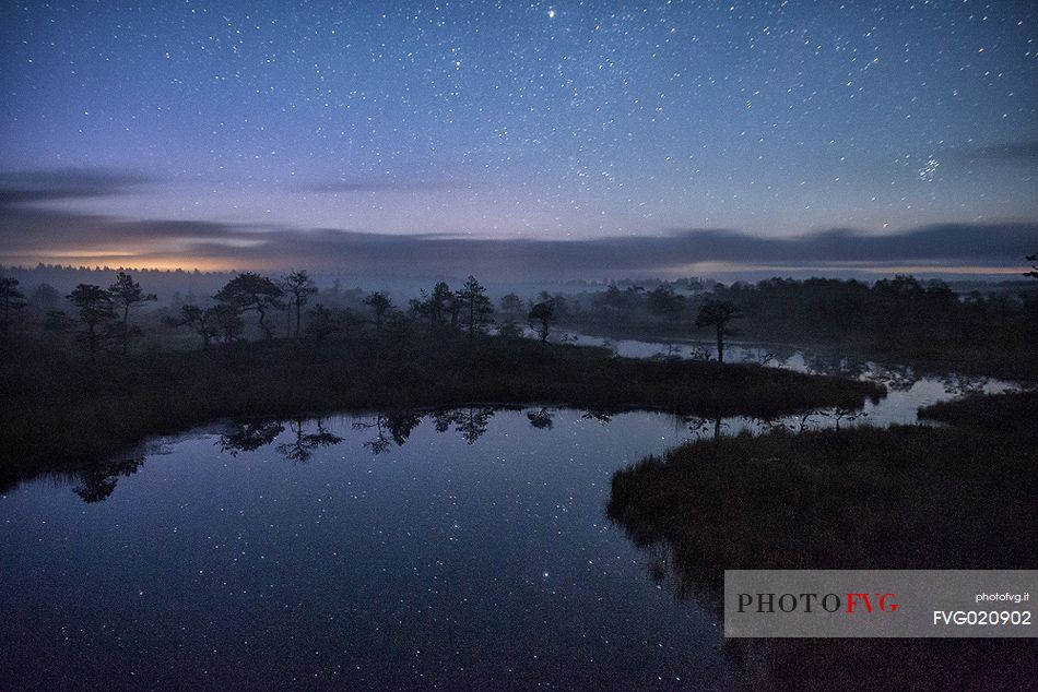 Mnnikjrve bog at night time, Endla Nature Reserve, Estonia