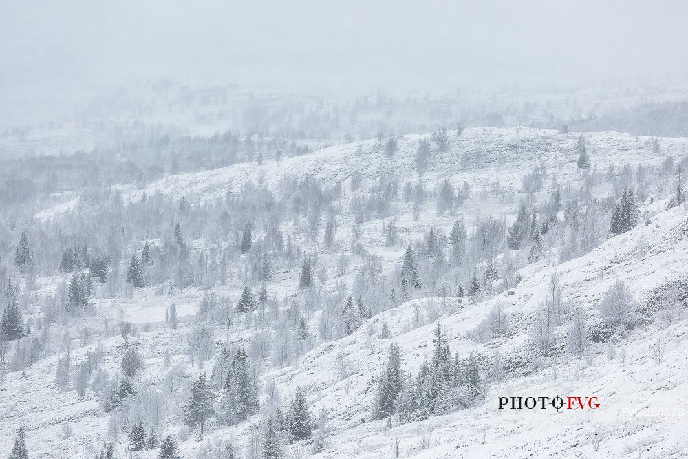 Snowy norwegian landscape, Etnedal, Norway