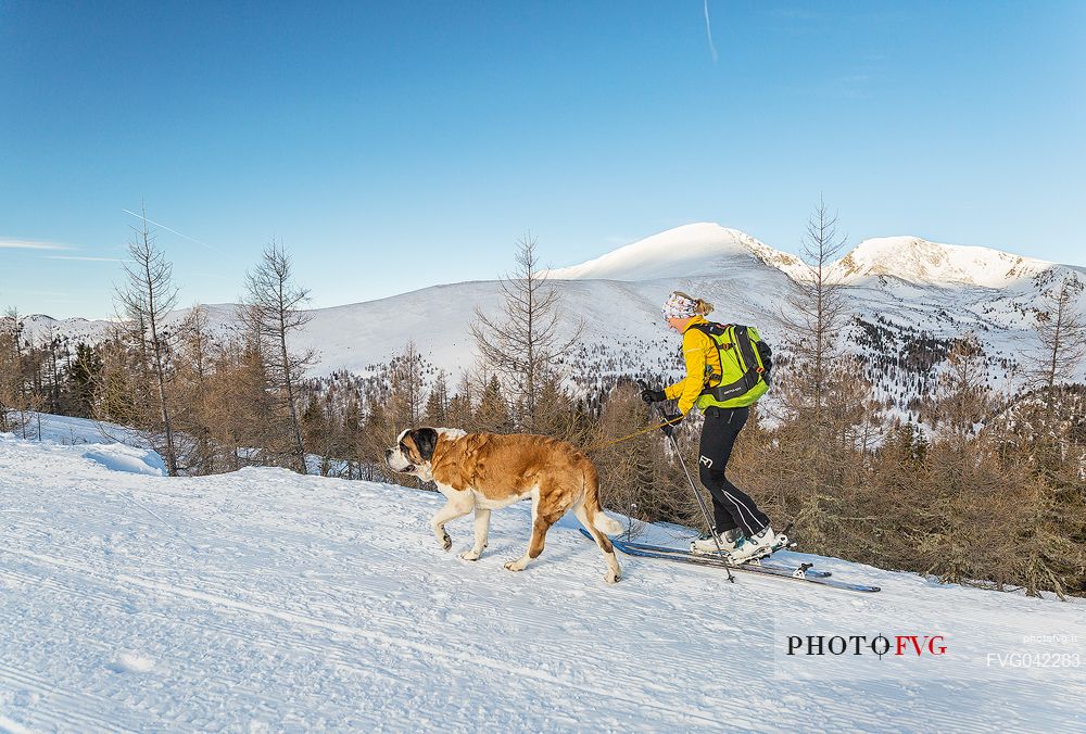 Woman with dog in ski touring, Nockberge mountains, Bad Kleinkirchheim, Carinthia, Austria, Europe