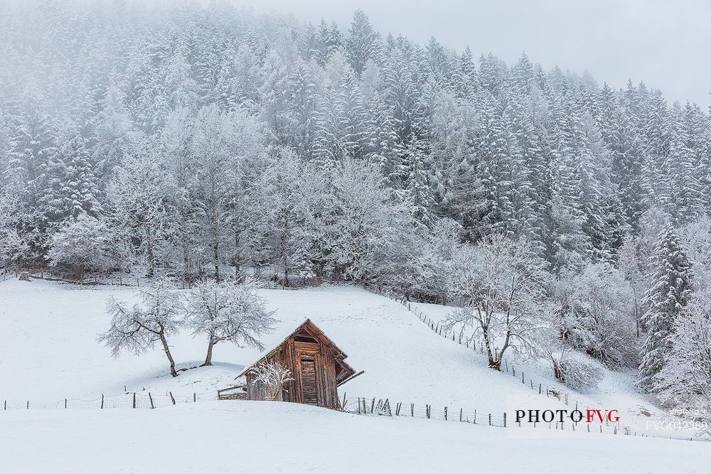 Snowy barn near Bad Kleinkirchheim, Carinthia, Austria, Europe