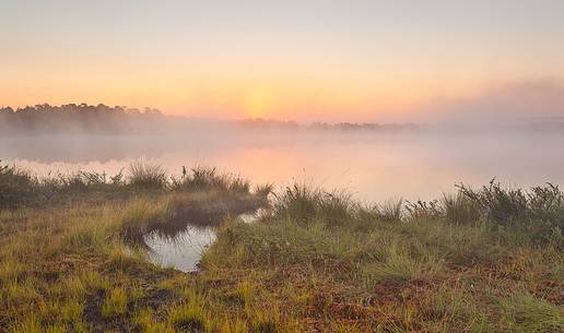 Foggy summer sunrise in Kakerdaja bog