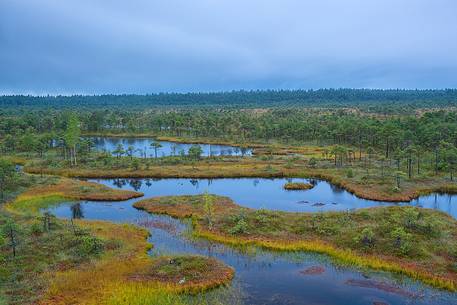 Endla bog is a nature reserve situated in central estonia