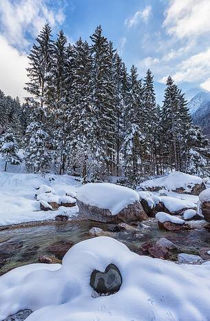 winter river and forest 