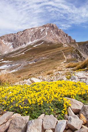 Sella di monte Aquila, (Appennine), 2494m, Gran Sasso National Park, summer 