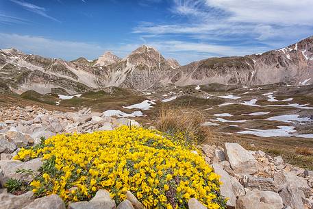 Sella di monte Aquila, (Appennine), 2494m, Gran Sasso National Park, summer