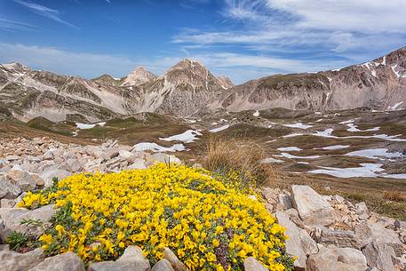 Sella di monte Aquila, (Appennine), 2494m, Gran Sasso National Park, summer 