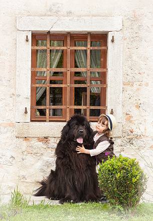 The boy and the dog