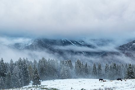 Dolomiti of Brenta,Natural Park of Adamello-Brenta