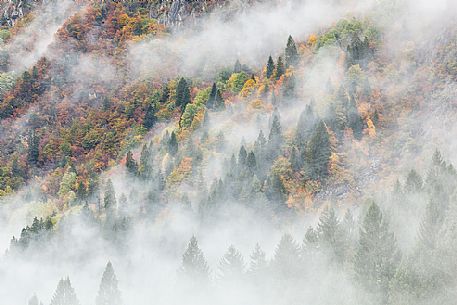 Dolomiti of Brenta,Natural Park of Adamello-Brenta, mountains through the fog